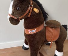Pony Cycle
