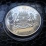 100 Shillings 1oz Silver 2020 Somali African Wildlife Elephant coin Image 4