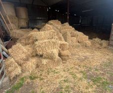 Square bales hay