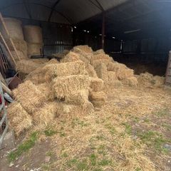 Square bales hay