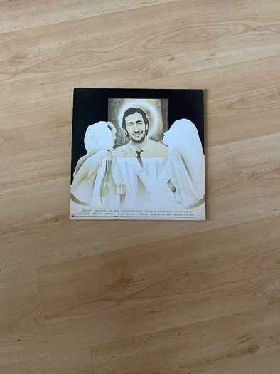 Vinyl / record / Album