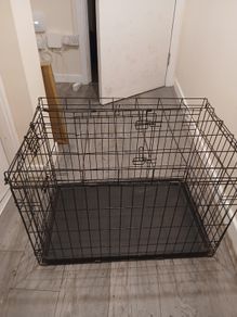 Pet Accessories