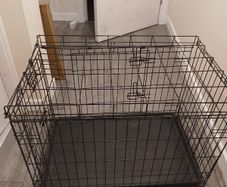 Pet Accessories