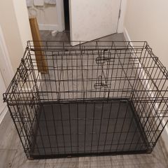 Pet Accessories