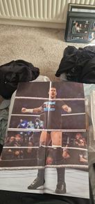 WWE CM Punk Poster