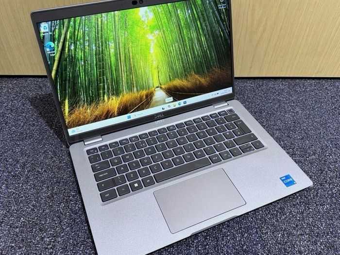 Dell laptop