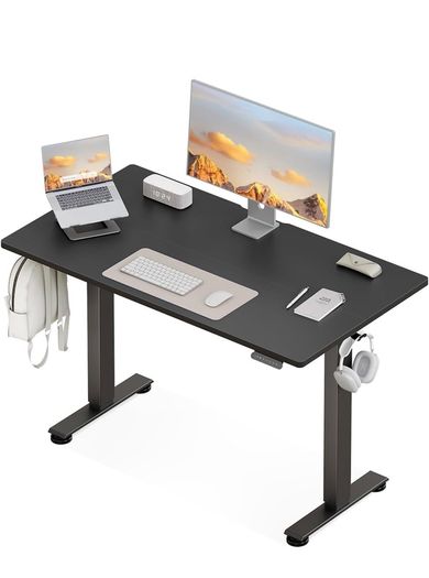 Electric Standing Desk, 120x60cm Height Adjustable Desk with 2 Memory Presets, Quiet Sit Stand Desk for Home Office Bedroom Living Room, Ergonomic Computer Desk with Hooks & Cable Holes, Black