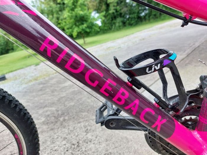 Girls Bicycle