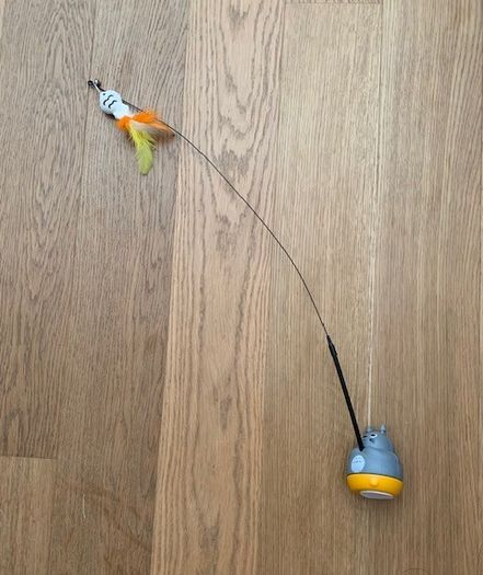 Cat Toy