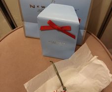 Newbridge silver christmas Camper van