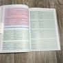 Grameir an draoi- Irish grammar book Image 3