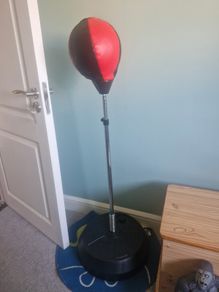 Punching bag with gloves