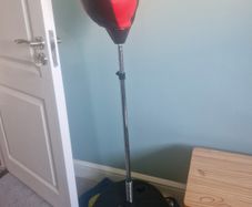 Punching bag with gloves