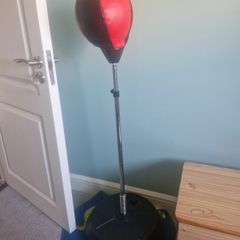 Punching bag with gloves