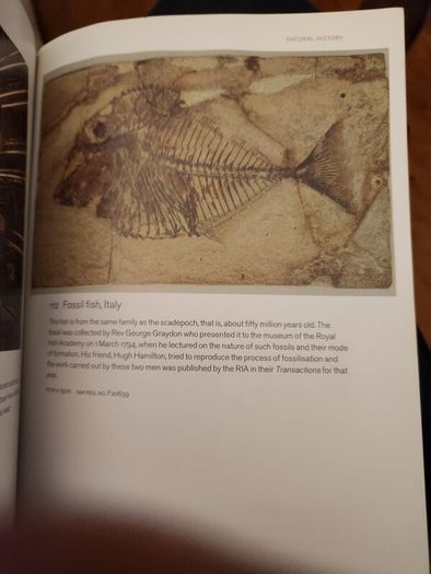 A Guide To The  National Museum Of Ireland. By Patrick   F. Wallace. Paperback In Good Condition.