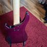 Tanglewood Rebel 4k Image 6