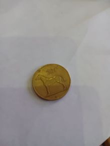 1995 Irish 20 P
