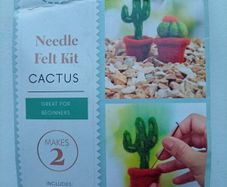 Needle Felting kit "Cactus"