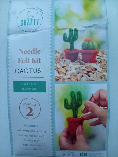 Needle Felting kit "Cactus"
