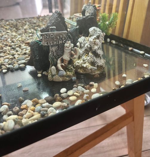 Fish tank