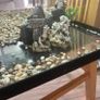 Fish tank Image 2