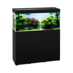 Aquarium