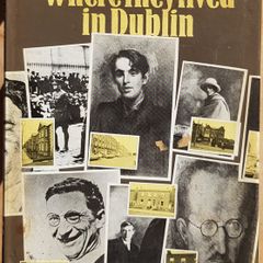 Where They Lived In Dublin by John Cowel