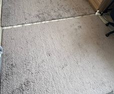 Plush Rug
