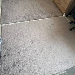 Plush Rug