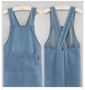 Apron Jour Adult