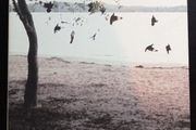 The Tallest Man on Earth - There's No Leaving Now CD