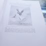 V large hardback A breath from the Veldt, numbered, D18 post 15e, v collectible Image 7