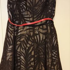Oasis Black Lace Fit and Flare Dress