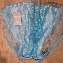 Disney store Elsa dress - brand new with tags