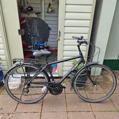 Raleigh Pioneer 2 Hybrid