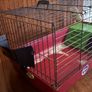 Rabbit/tortoise cage Image 3