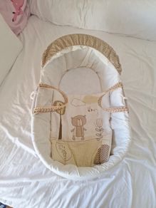 Moses basket