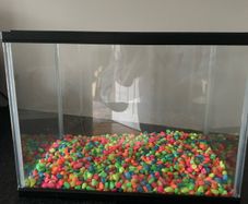Fish Tank