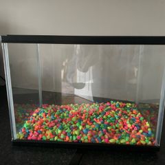 Fish Tank