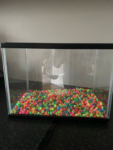 Fish Tank