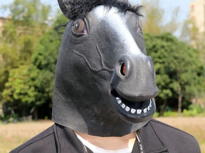 Rubber novelty Halloween black Horse mask.