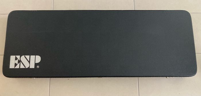 ESP LTD Explorer EX-100 guitar and flight case