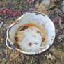 Enamel buckets Image 4