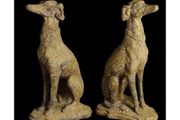 French Lurcher EG003
