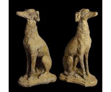 French Lurcher EG003