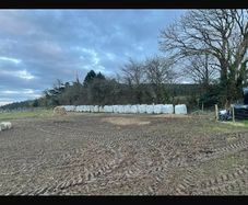 31 free Bales 4 years old. Coarse