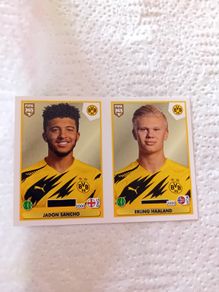 Soccer cards