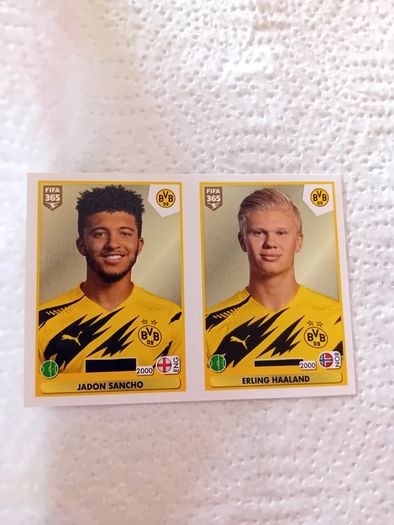 Soccer cards
