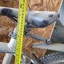 Bicycles Image 3