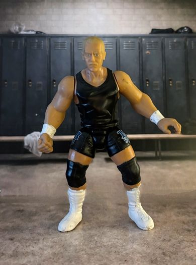 Jakks WWF Wrestling figures WWE ECW BCA